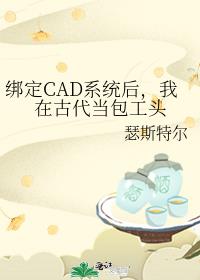 绑定CAD系统后，我在古代当包工头